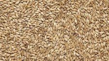 КУРСКИЙ СОЛОД ПЭЙЛ ЭЛЬ PALE ALE 1КГ