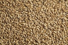 СОЛОД СУФЛЕ MALT MUNICH 15 МЮНХЕНСКИЙ 12-18 EBC SOUFFLET РОССИЯ 1 КГ