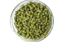 ХМЕЛЬ ГЕРКУЛЕС HERKULES (ГЕРМАНИЯ) 50 ГР АЛЬФА 16,2% УРОЖАЙ 2021 Г