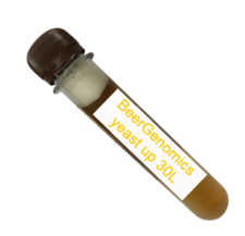 ЖИДКИЕ ПИВНЫЕ ДРОЖЖИ BEERGENE A 010 40 МЛ MILDS, BITTER, PORTER, STOUT